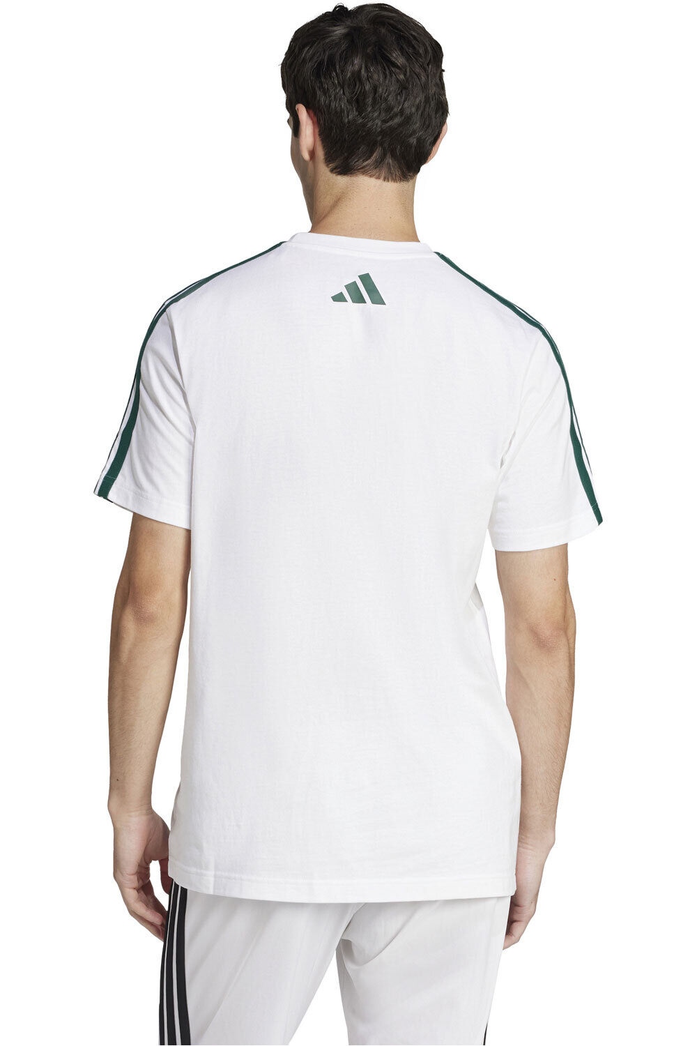adidas camiseta manga corta hombre M C COLLEG TEE vista trasera