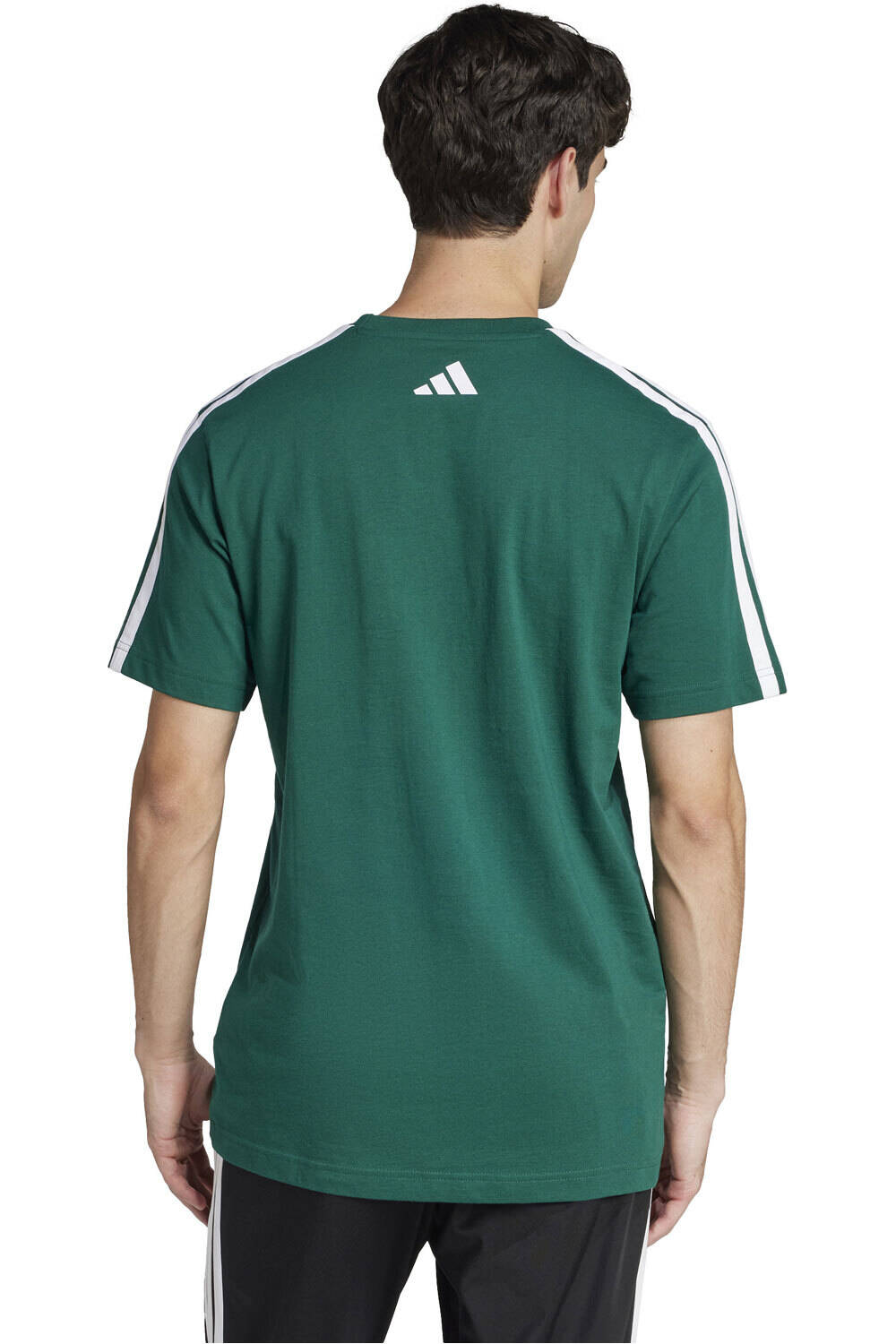 adidas camiseta manga corta hombre M C COLLEG TEE vista trasera
