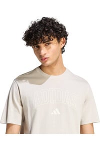 adidas camiseta manga corta hombre M COLLEGIATE T vista detalle