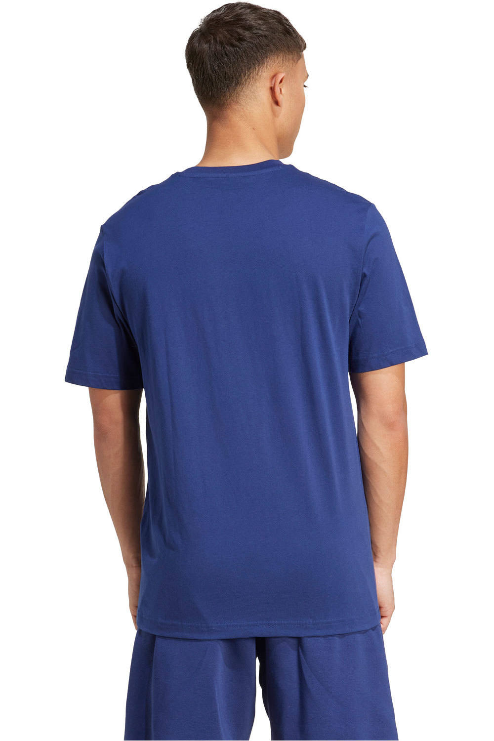 adidas camiseta manga corta hombre M COLLEGIATE T vista trasera
