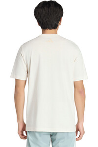 adidas camiseta manga corta hombre M DISTRESSED T vista trasera