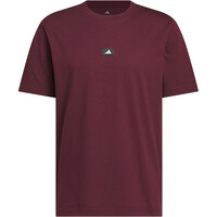 adidas camiseta manga corta hombre M HIGHLITE T1 04