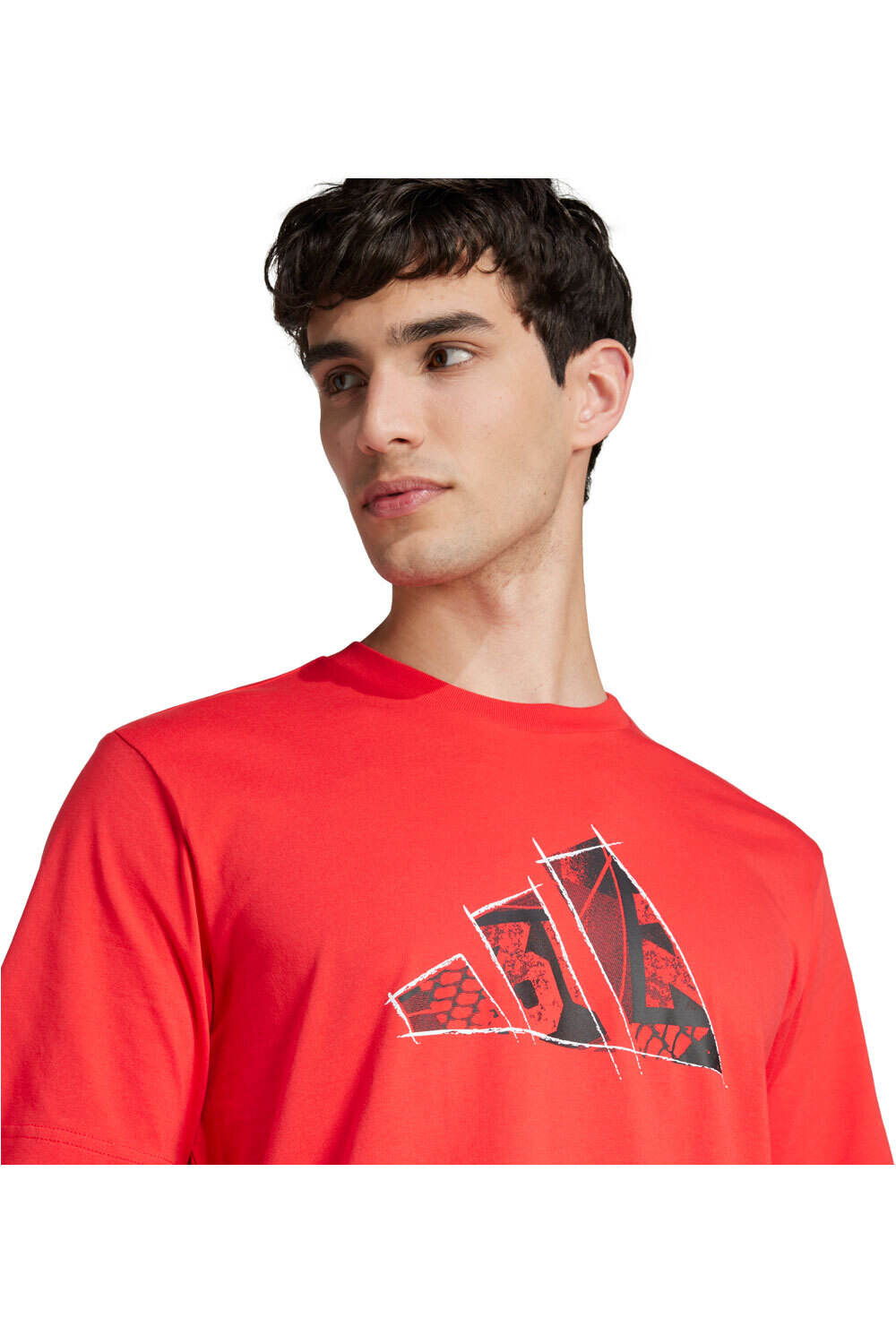 adidas camiseta manga corta hombre M PHOTO TEE 2 vista detalle