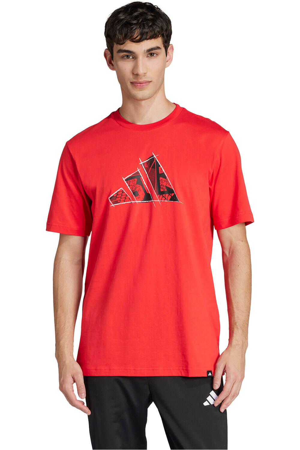 adidas camiseta manga corta hombre M PHOTO TEE 2 vista frontal