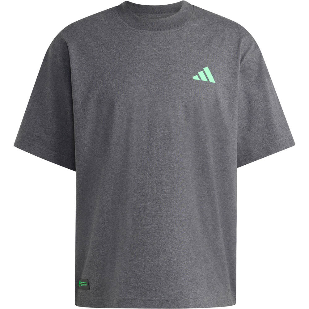 adidas camiseta manga corta hombre MERCEDES - AMG PETRONAS FORMULA 1 05