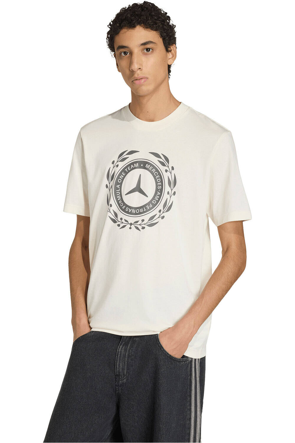 adidas camiseta manga corta hombre MERCEDES - AMG PETRONAS FORMULA 1 TEAM SILVER ARROWS 01 vista frontal