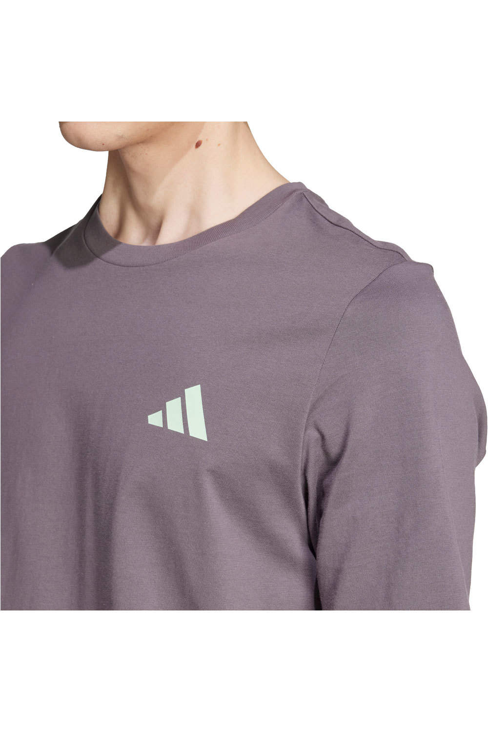 adidas camiseta manga corta hombre Mercedes-AMG Petronas f1 Team Premium 04