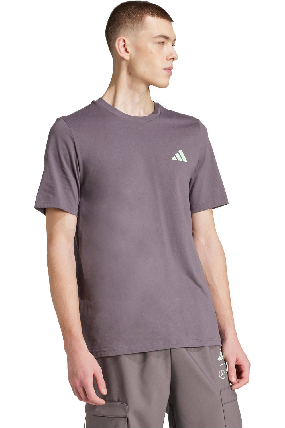 adidas camiseta manga corta hombre Mercedes-AMG Petronas f1 Team Premium vista detalle