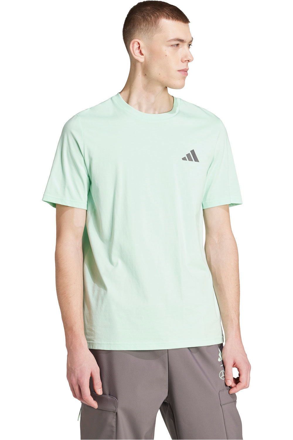 adidas camiseta manga corta hombre Mercedes-AMG Petronas f1 Team Premium vista detalle