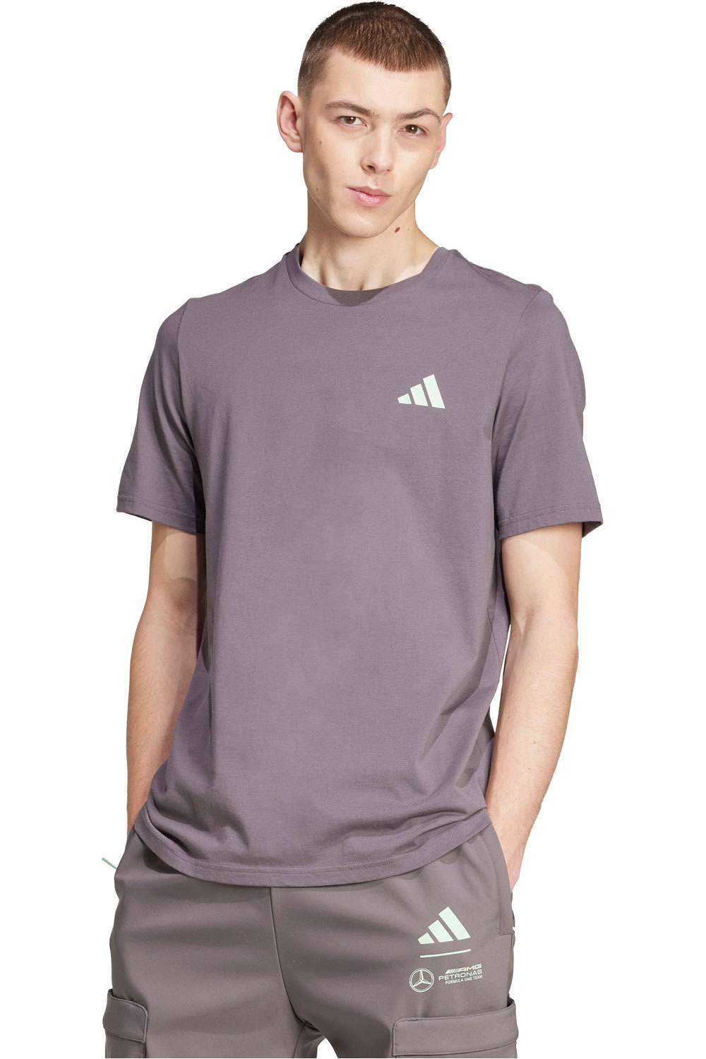 adidas camiseta manga corta hombre Mercedes-AMG Petronas f1 Team Premium vista frontal