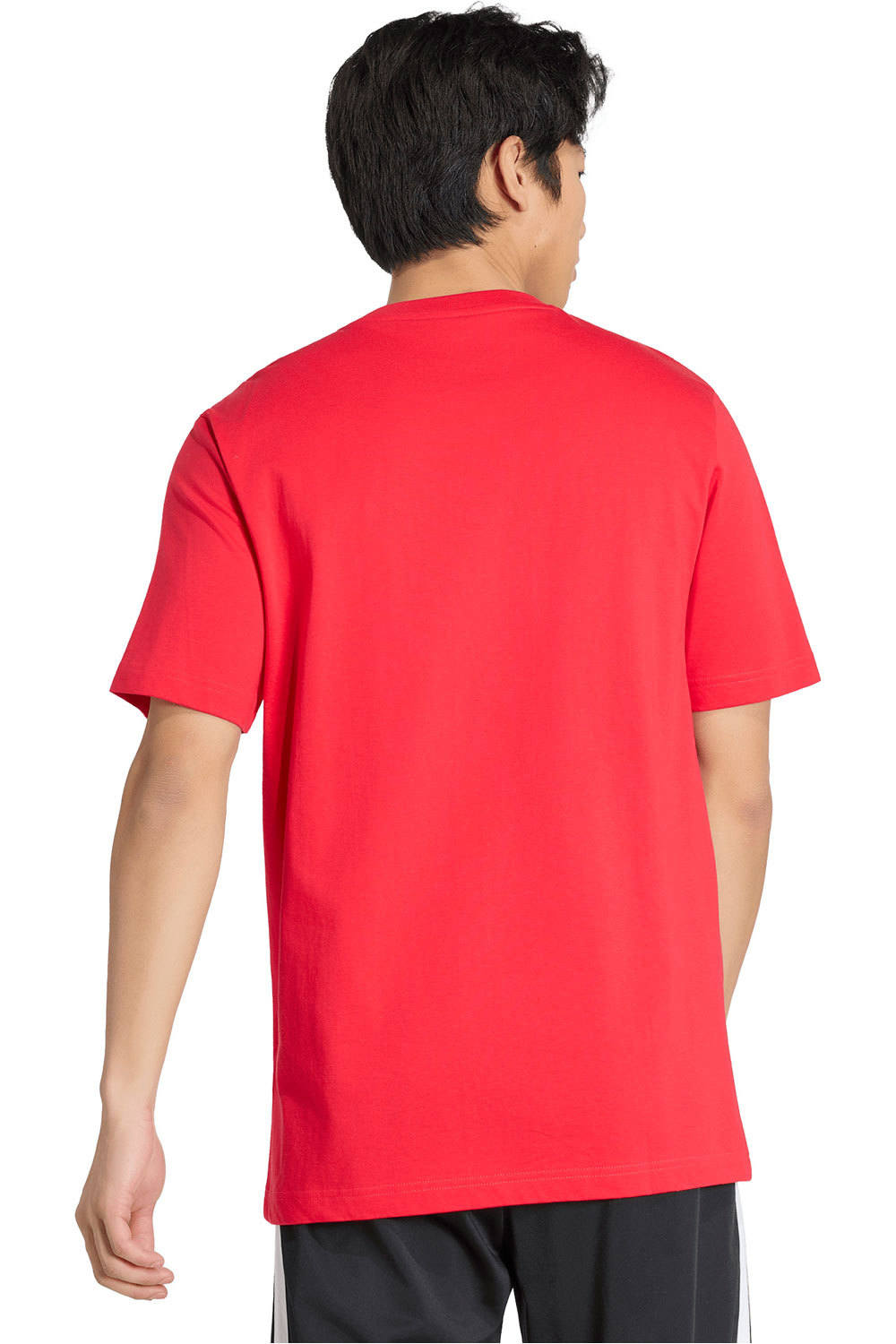 adidas camiseta manga corta hombre MULTI LINEAR LOGO GRAPHIC vista trasera