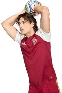adidas camiseta manga corta hombre RFEF A PRESHI vista detalle
