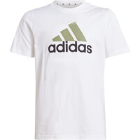 BIG LOGO