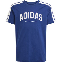CODES COLLEGIATE GRAPHIC