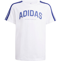 CODES COLLEGIATE GRAPHIC