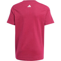 adidas camiseta manga corta niño CODES COLLEGIATE GRAPHIC vista trasera