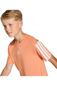 adidas camiseta manga corta niño ESSENTIALS vista detalle
