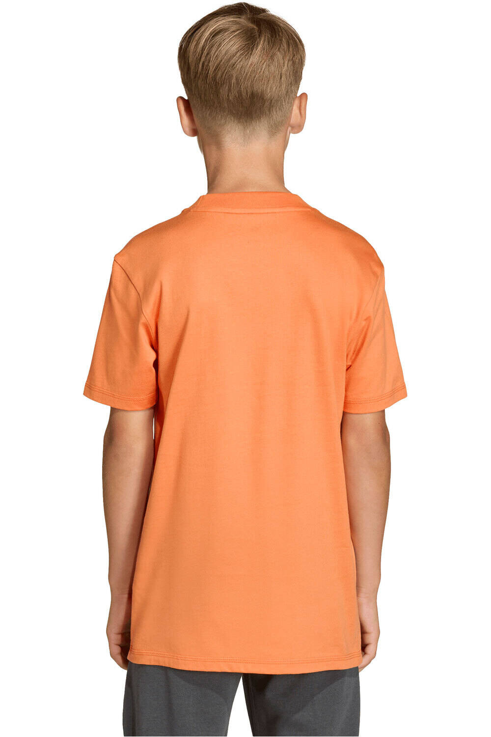 adidas camiseta manga corta niño ESSENTIALS vista trasera