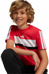 adidas camiseta manga corta niño J 3S TIB T vista detalle