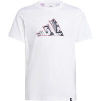 adidas camiseta manga corta niño J C PHOTO TEE 04