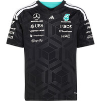 MERCEDES-AMG PETRONAS F1 DNA