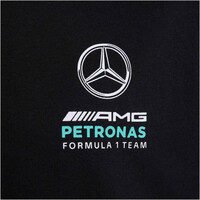 adidas camiseta manga corta niño MERCEDES-AMG PETRONAS F1 TEAM DNA 04