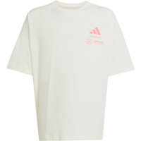 adidas camiseta manga corta niño MERCEDES F1 TEAM SUMMER PACK GRAPHIC vista frontal
