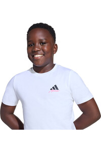 adidas camiseta manga corta niño MESSI ICON GRAPHIC vista detalle