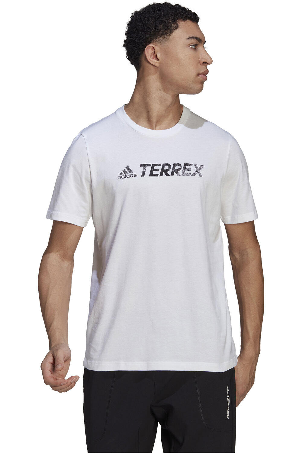 adidas camiseta montaña manga corta hombre Terrex Classic Logo vista frontal