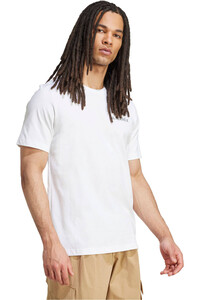 adidas camiseta montaña manga corta hombre TERREX GRAPHIC vista detalle