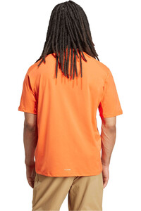 adidas camiseta montaña manga corta hombre TERREX MULTI CLIMACOOL vista trasera