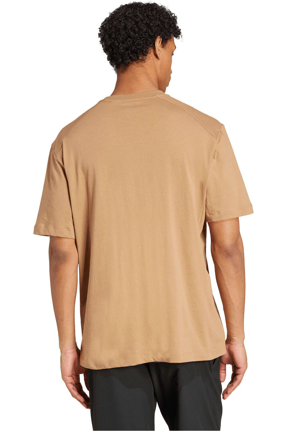 adidas camiseta montaña manga corta hombre TERREX vista trasera
