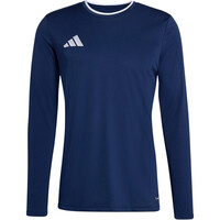ENTRADA26