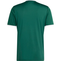 adidas camisetas fútbol manga corta GRFICA ENTRADA26 05