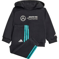 MERCEDES - AMG PETRONAS FORMULA ONE TEAM DNA