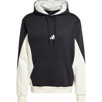 adidas chándal hombre M FL CB HD TS 06