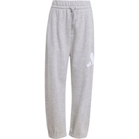 adidas chándal junior Conjunto sudadera y pantaln Ess 04