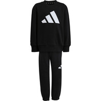 Conjunto sudadera y pantaln Ess