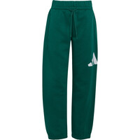 adidas chándal junior Conjunto sudadera y pantaln Ess vista detalle