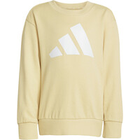 adidas chándal junior Conjunto y Essentials (Nios) 05