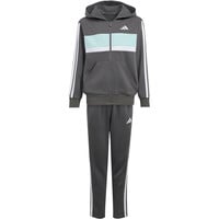 adidas chándal niño Chndal Seasonal Ess Tiberio Fleece 3S vista frontal
