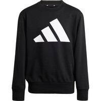 adidas chándal niño Conjunto Essentials (Adolescentes) 05
