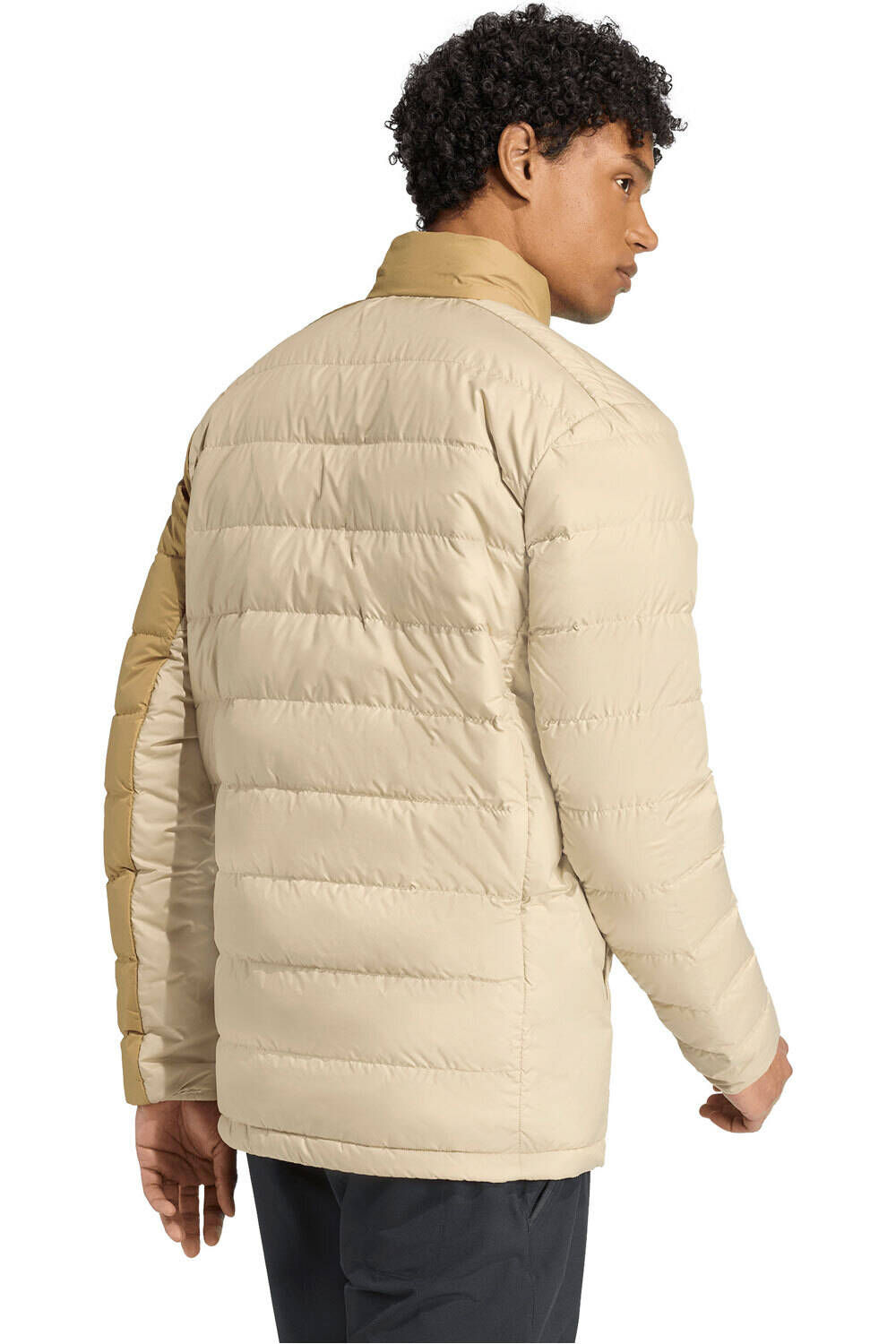 adidas chaqueta outdoor hombre TERREX MULTI LIGHT DOWN vista trasera