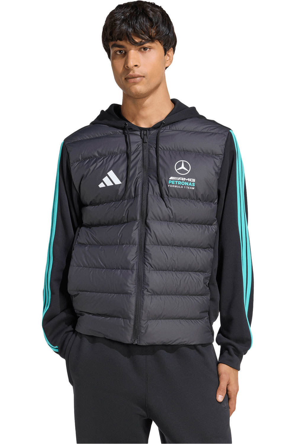 adidas chaquetas hombre MERCEDES-AMG PETRONAS DNA vista frontal