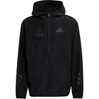 adidas chaquetas hombre MERCEDES-AMG PETRONAS F1 NIGHT 04