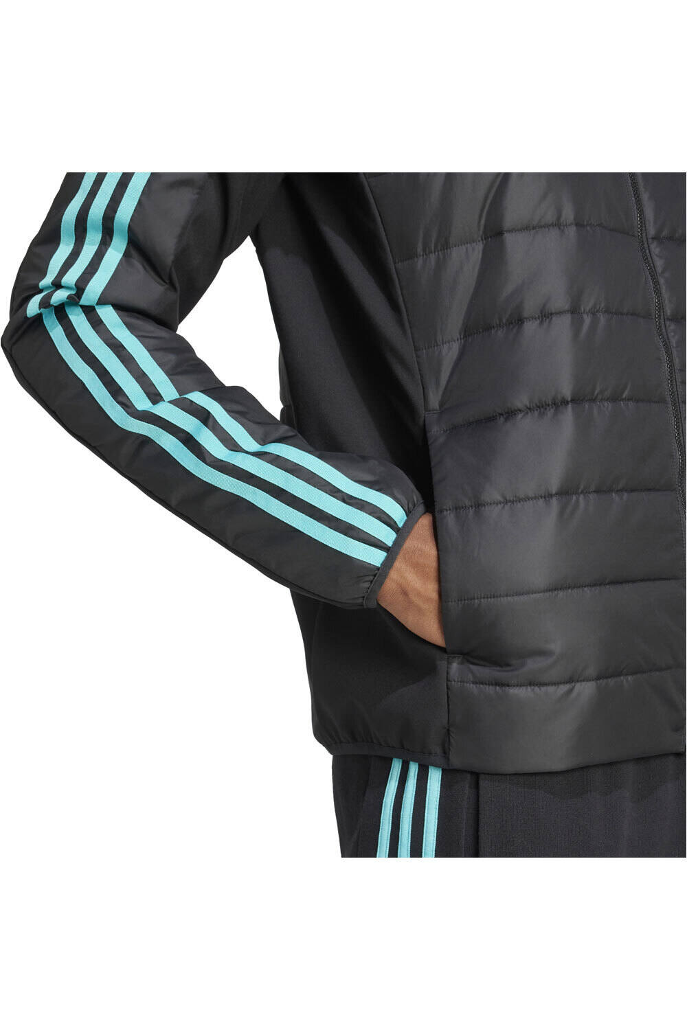 adidas chaquetas hombre MERCEDES AMG PETRONAS F1 TEAM DNA 04