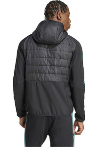 adidas chaquetas hombre MERCEDES AMG PETRONAS F1 TEAM DNA vista trasera