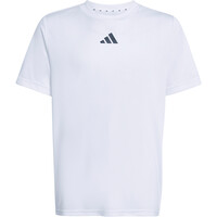 adidas conjunto junior Cjto camiseta y pant corto Train Ess 3S 05