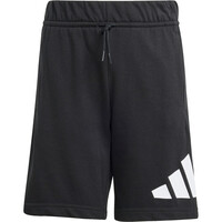 adidas conjunto junior ESSENTIALS 04