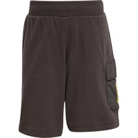 adidas conjunto junior THE SIMPSONS 07